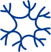 Desenvolvimento cerebral e da visão